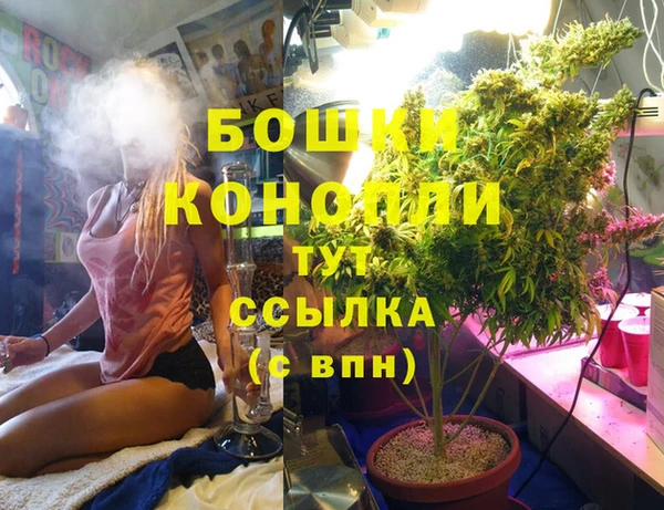 ешки Алзамай