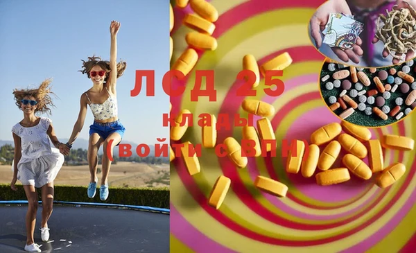 ешки Алзамай