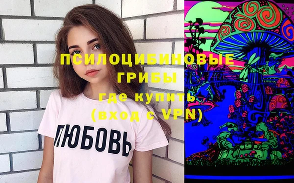 твердый Алексин